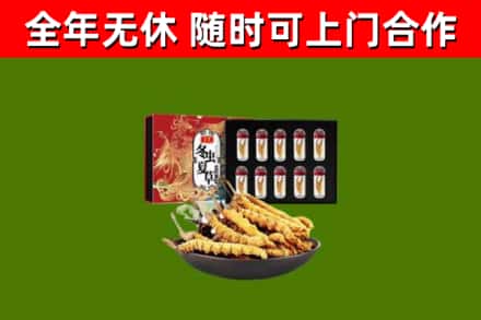宁津回收冬虫夏草价格